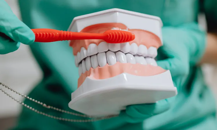 How to Keep Your Gums Healthy Between Visits in Williamsburg, VA